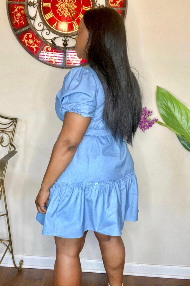 lee monet Dresses Courtney Chambray V-neck Mini Dress