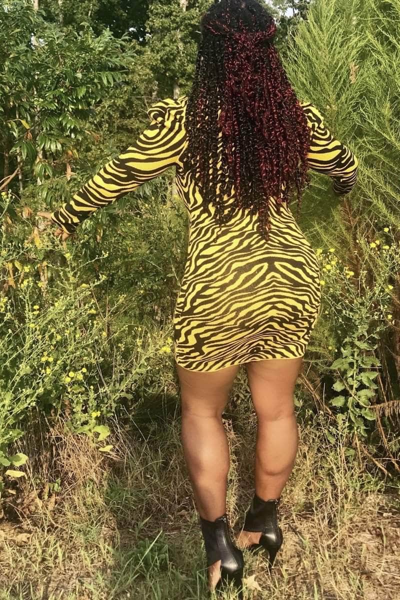 lee monet Puff Sleeve Mini Knit Tiger Dress (Blk/Yellow)
